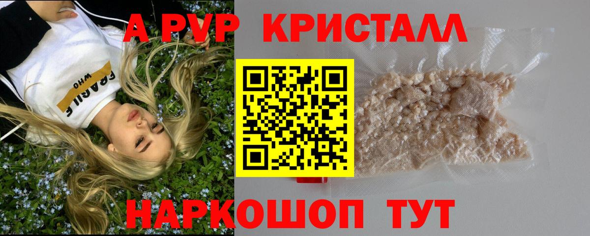 Alfa_PVP крисы CK Майкоп