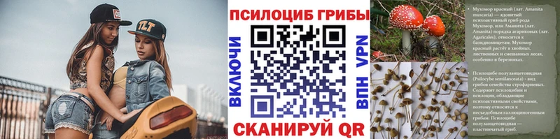 закладки  Майкоп  Псилоцибиновые грибы GOLDEN TEACHER 