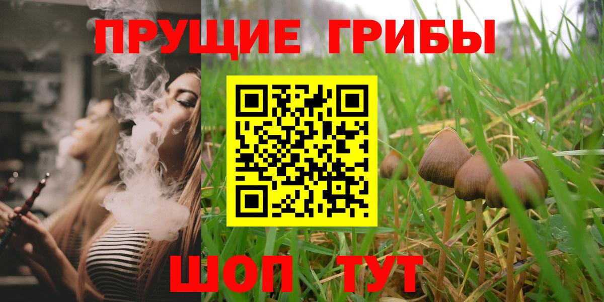 Майкоп  Псилоцибиновые грибы мицелий  Вход с VPN  Псилоцибиновые грибы Cubensis 